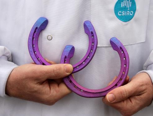 3D printed horseshoes