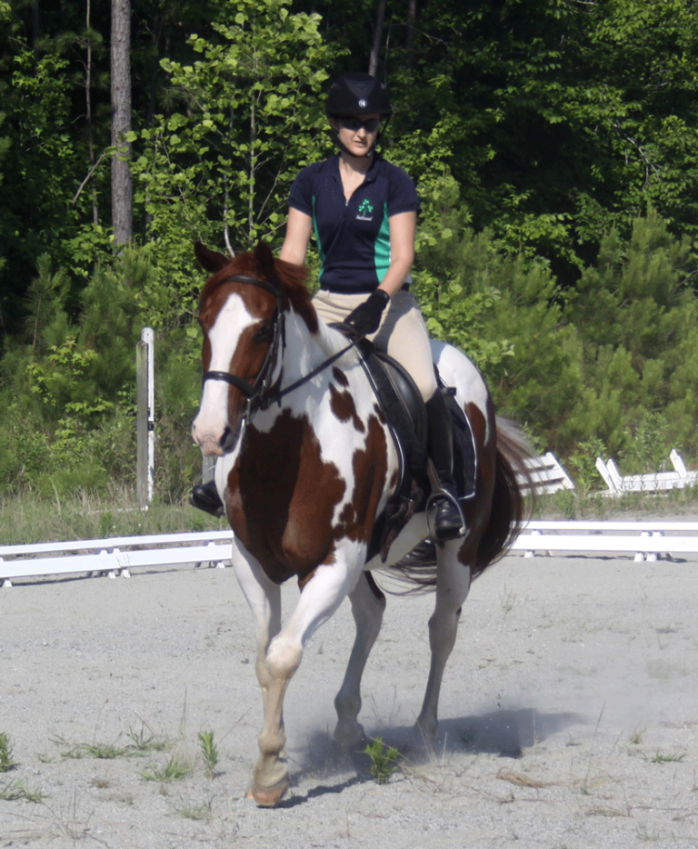 A Dressage Scribe Shares her Learning Experience promo image