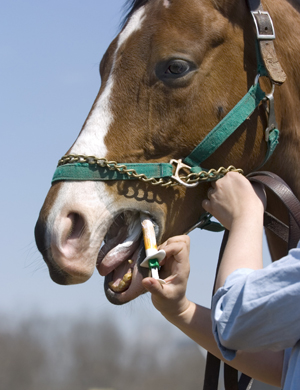 An Equine Deworming Strategy to Prevent Parasite Resistance to Medications promo image