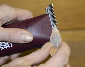 Before turning the clippers on, spread a think layer of clipper lubricating oil across the top blade