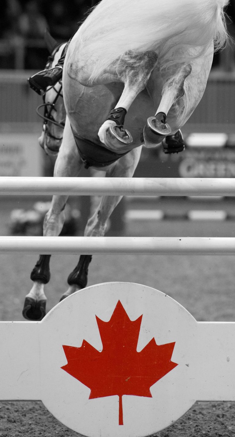 Behind-the-Scenes Photo Gallery: Longines FEI World Cup™ Jumping Toronto promo image