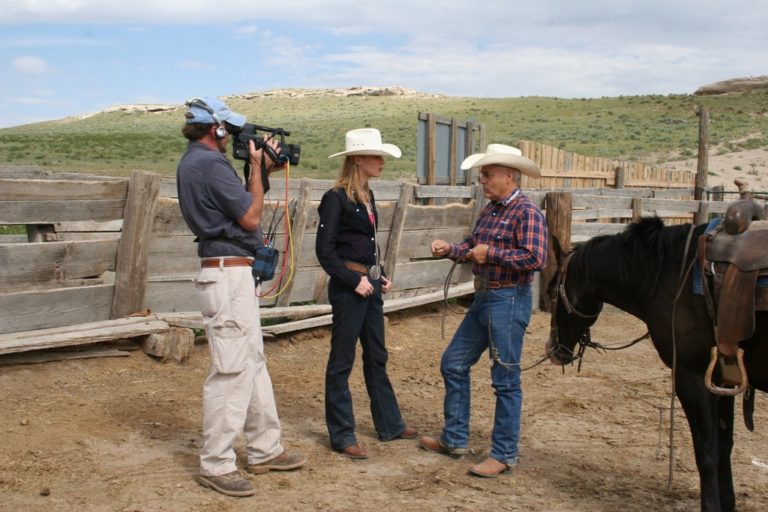 Championship Cutting Horses - Colorado Cattle Co