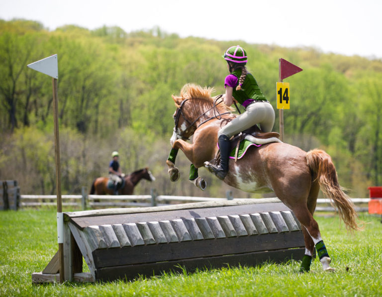 Cross Country with Jim Wofford: Horses for Courses promo image