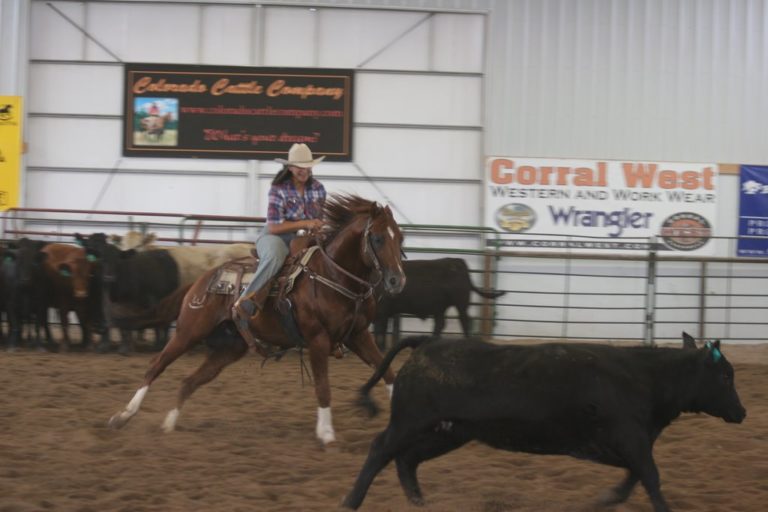 Cutting Horse Dream Week - Colorado Cattle Co