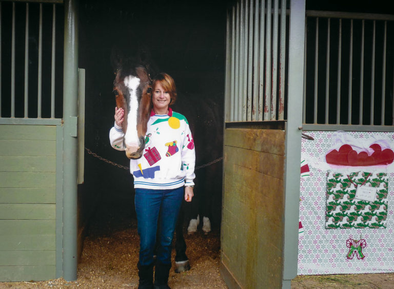 Deck the Stalls - The Joy of Stall Decorating During the Holidays promo image