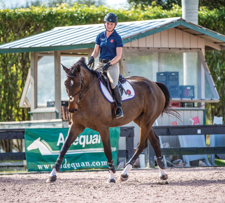 Develop Your Athlete With Dressage promo image
