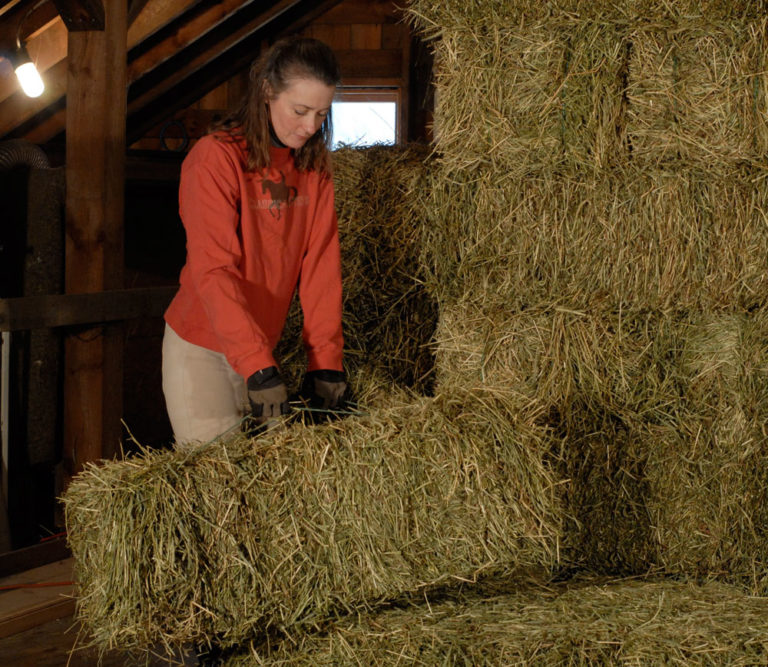 Drought Outlook for Horse Hay promo image