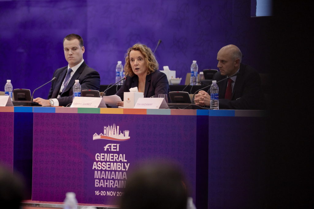 FEI General Assembly 2018 Rules Session
