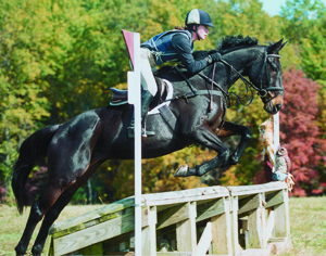 Find Your First Eventing Horse