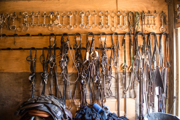 Horse Tack Equipment