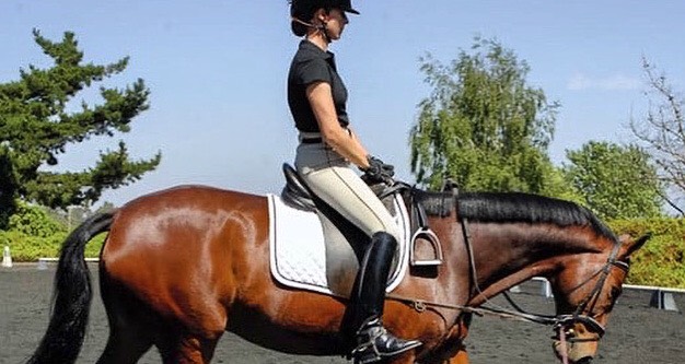 How to Sit the Trot