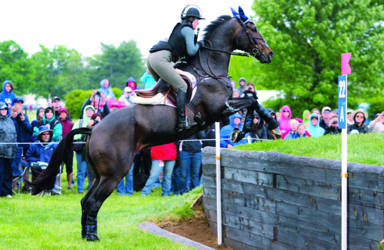 Jim Wofford: Cross-Country vs. Show-Jumping Form: The Same But Different