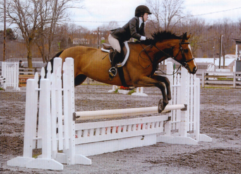 Jumping Clinic With George Morris: April 2015 promo image