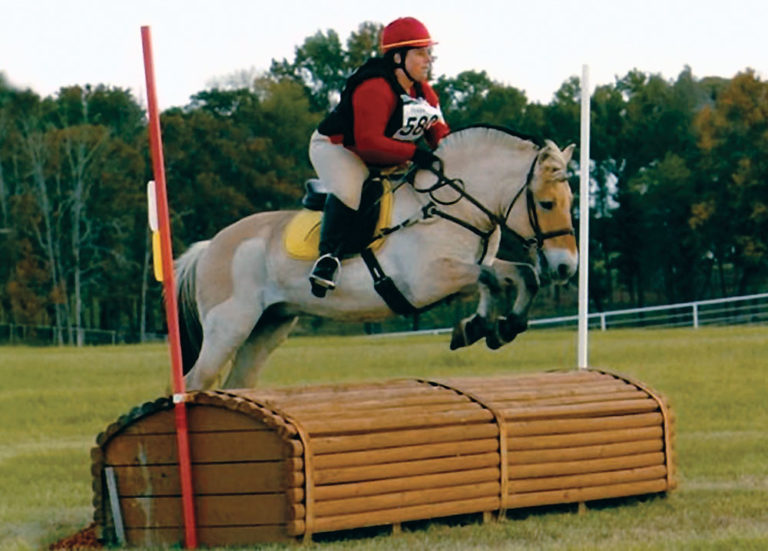 Jumping Clinic With George Morris: June 2015 promo image