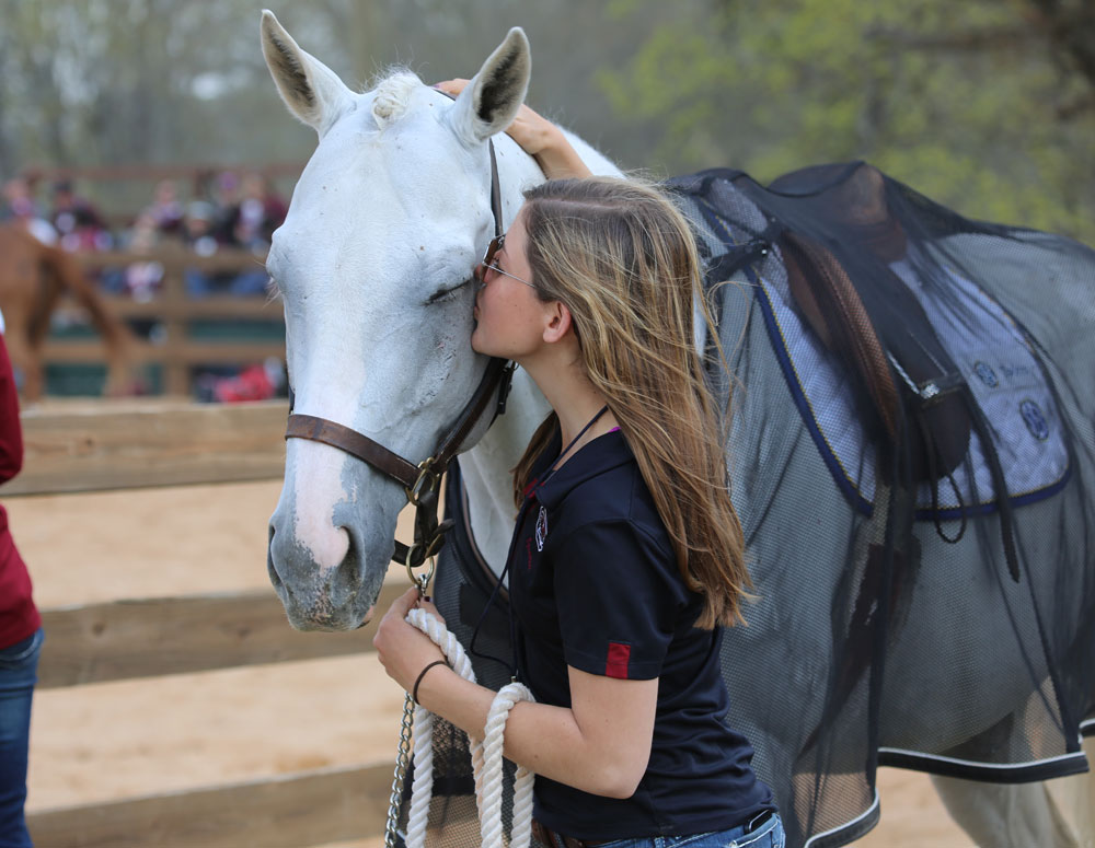 Life On A College Equestrian Team More Than Just Competing   Life On A College Equestrian Teammore Than Just Competing Promo Image 