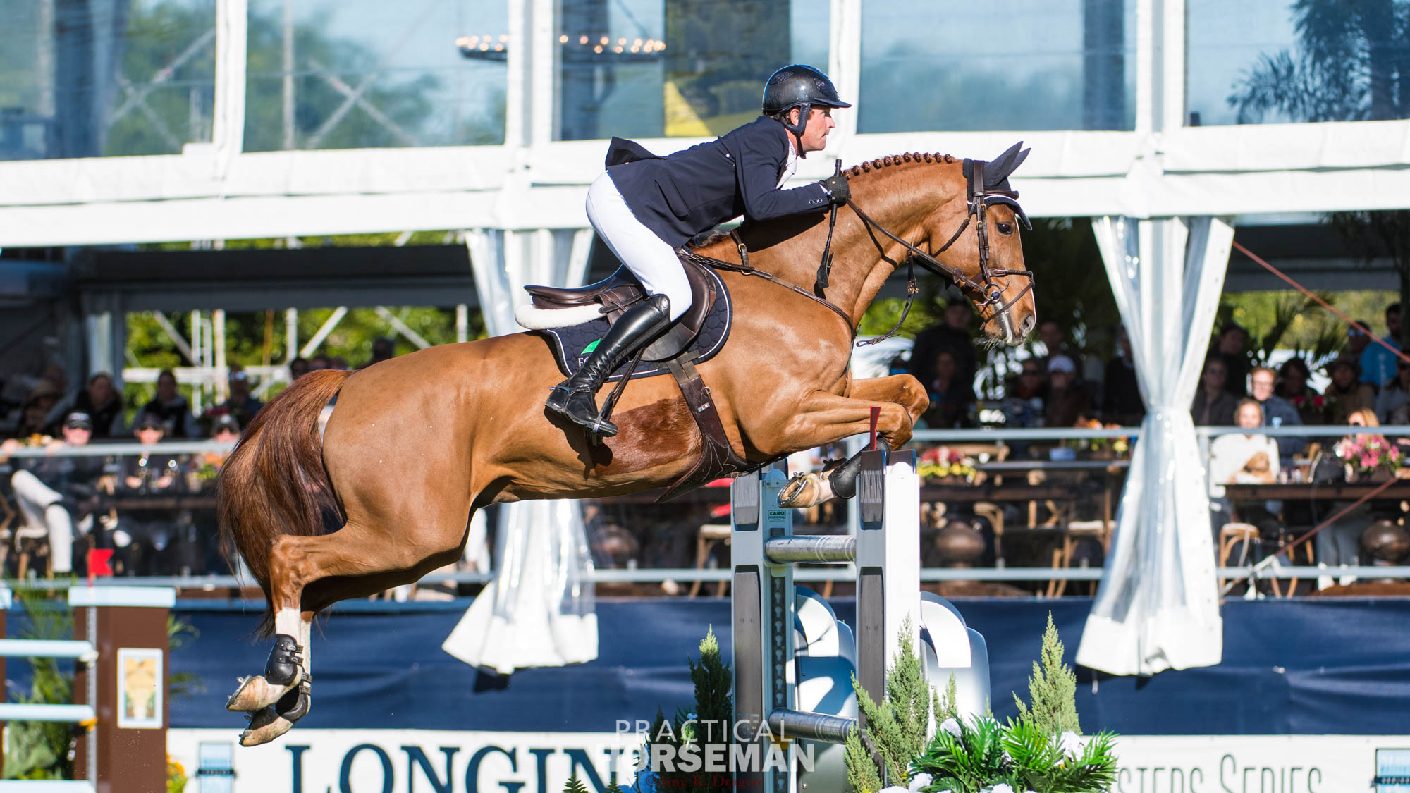 Darragh Kenny Wins the Longines FEI Jumping World Cup Wellington