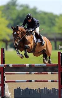 mclain ward and best buy