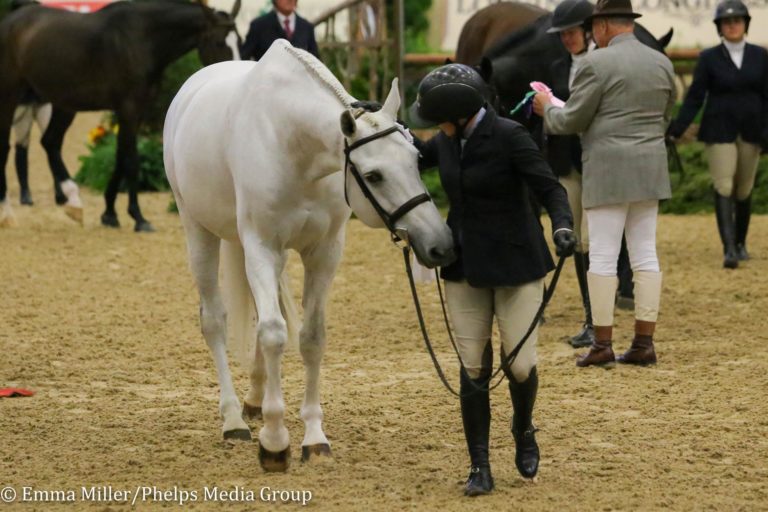 National_Horse_Show_2018-36
