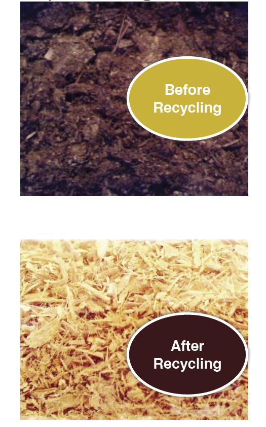 New Process Reclaims Wood Shavings from Used Horse Bedding promo image
