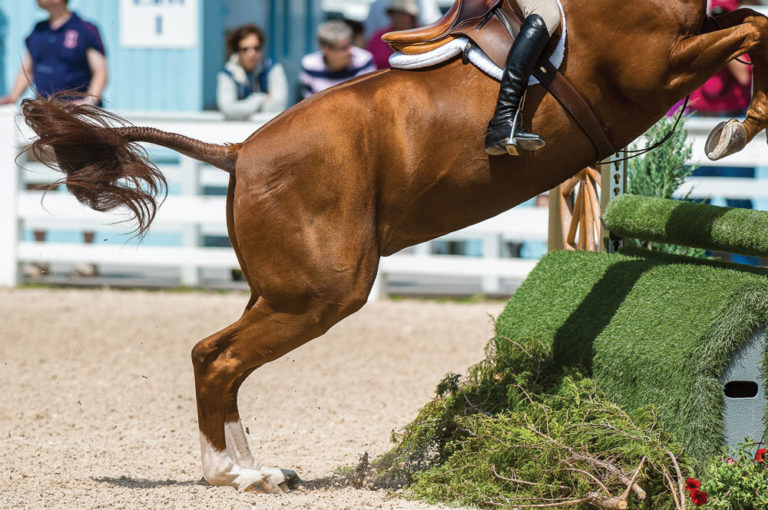 On the Injured List: Common Problems for Show Horses promo image