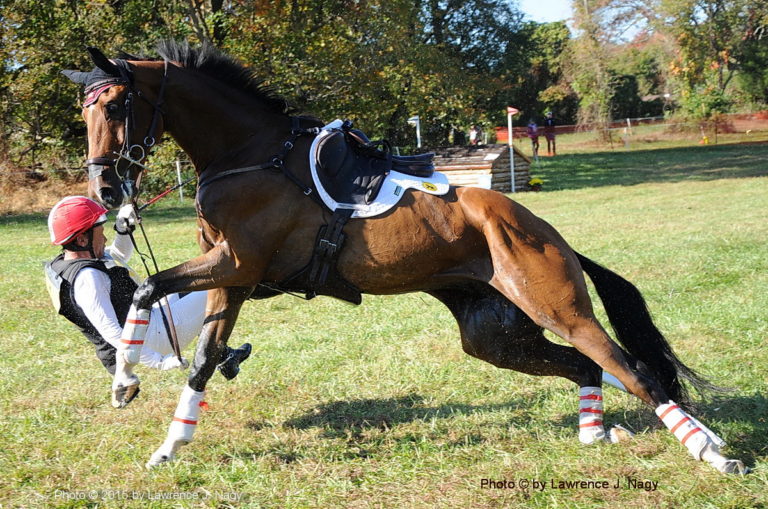 Rider Fall Eventing