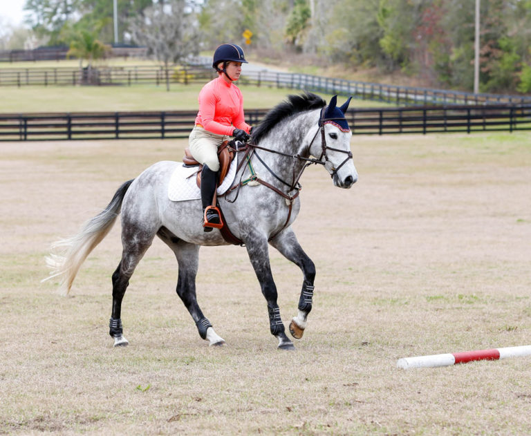 Sharon White: Become A Self-Confident Leader for Your Horse promo image