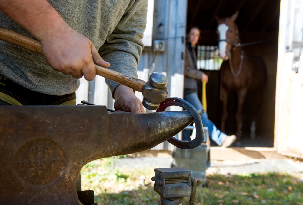 Why Good Arena Footing is Essential for Performance and Soundness 