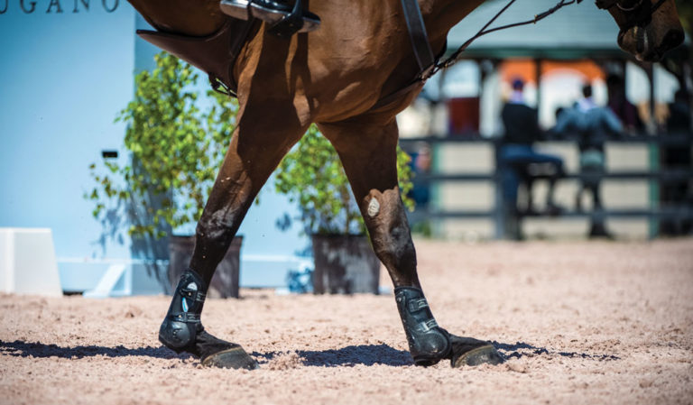 Suspensory Injuries in Horses promo image