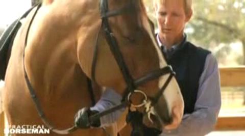 Video: Improve Suppleness through Dialogue with Your Horse promo image