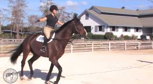 Video: Longe Exercises from EquestrianCoach