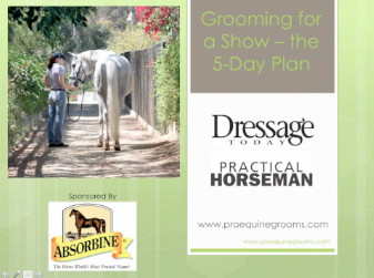 Webinar: The 5-Day Show-Grooming Plan from Professional Equine Grooms Founder Liv Gude promo image