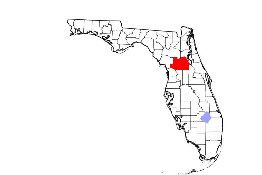 A 5-year-old, unvaccinated warmblood gelding in Marion County, Florida, was confirmed positive for rabies and euthanized. 