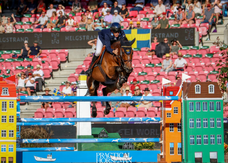 2022-FEI-Jumping-World-Championships-HM-All-In-peder-Fredricson-Photo-by-Julia-Murphy-Show-Jumping-Day-2-Team-Sweden-2