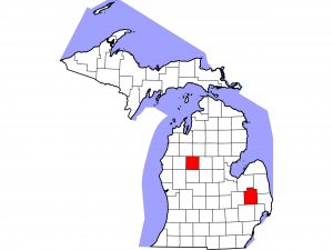 Map of Osceola and Lapeer counties, Michigan