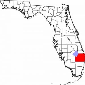 An unvaccinated Haflinger gelding in Palm Beach County, Florida, was confirmed positive for West Nile virus (WNV) and was euthanized.
