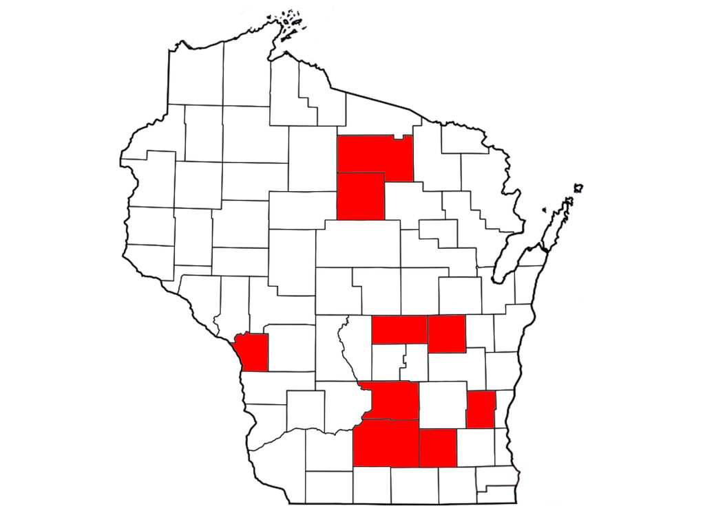 Since November 2022, there have been reported cases of equine strangles in nine counties in Wisconsin. 