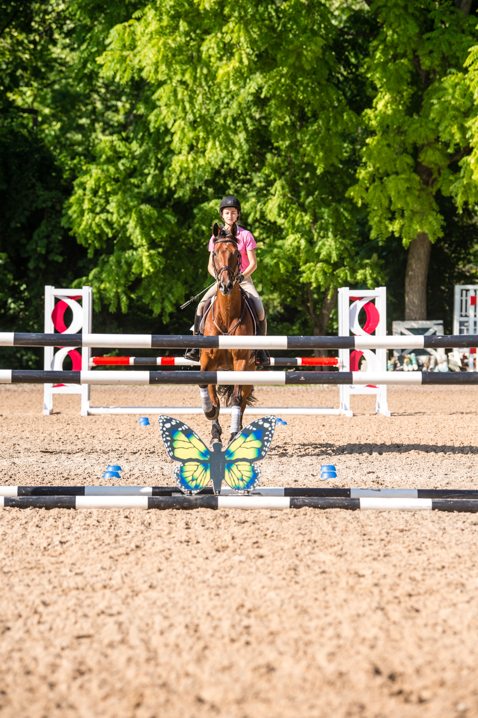 Sharpen Your Show-Jumping Skills