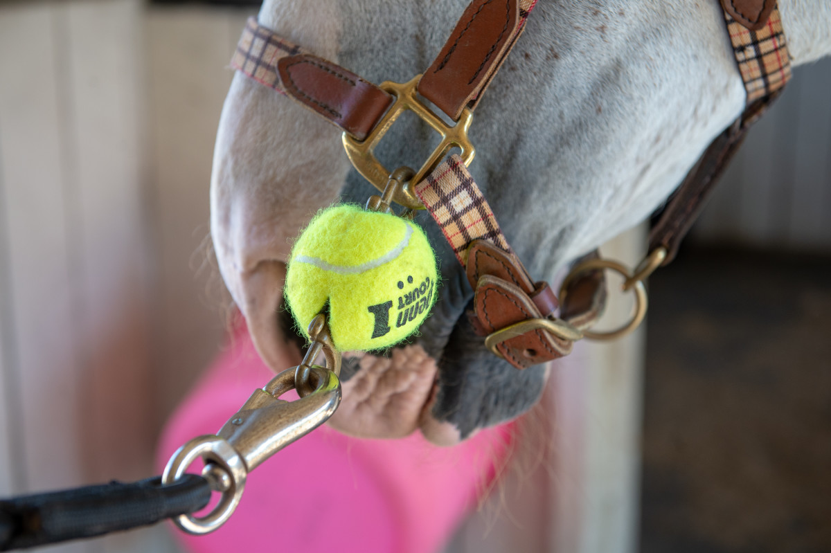 Instant Hot Kettle at the Barn - Pro Equine Grooms