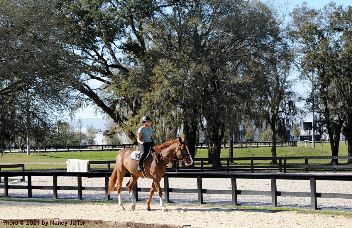 World Equestrian Center Ocala: The Best In The World